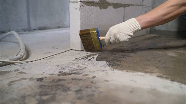SJ Waterproofing Pros Emergency Waterproofing coverage map for Three Rivers, MI and surrounding area